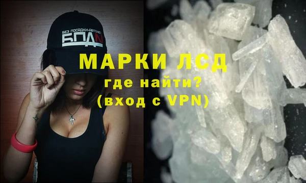 прущие грибы Дмитров
