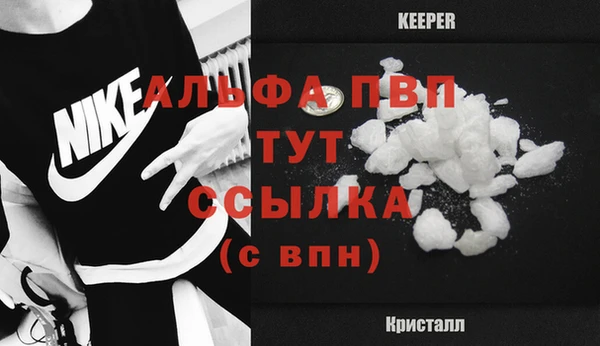 прущие грибы Дмитров