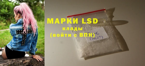 прущие грибы Дмитров