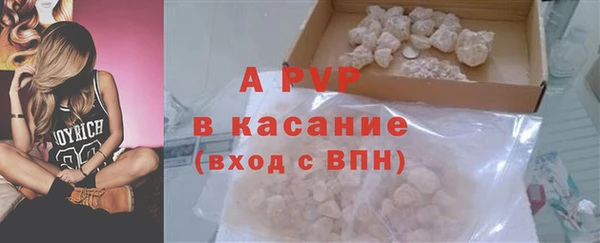 прущие грибы Дмитров