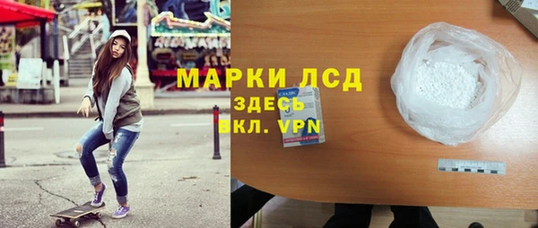 прущие грибы Дмитров