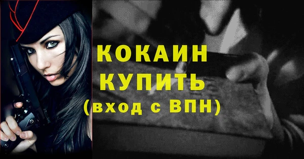 прущие грибы Дмитров