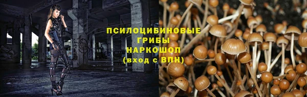 наркотики Дмитриев