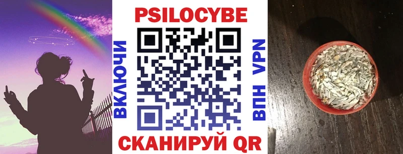 Галлюциногенные грибы GOLDEN TEACHER Купить Заозёрск